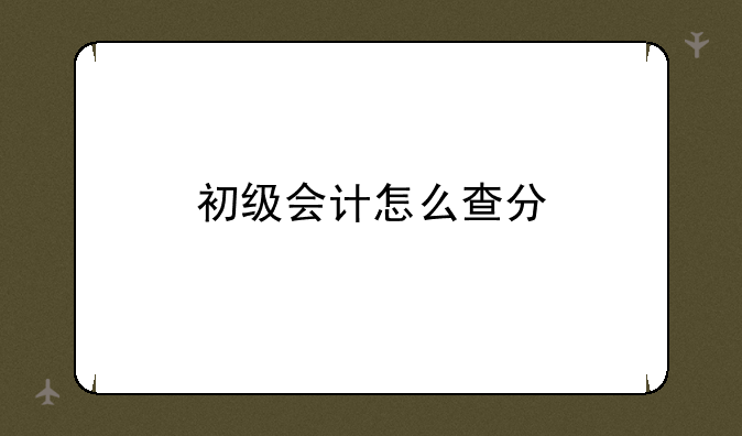 初级会计怎么查分