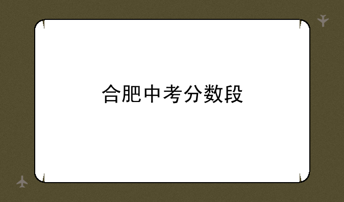 合肥中考分数段