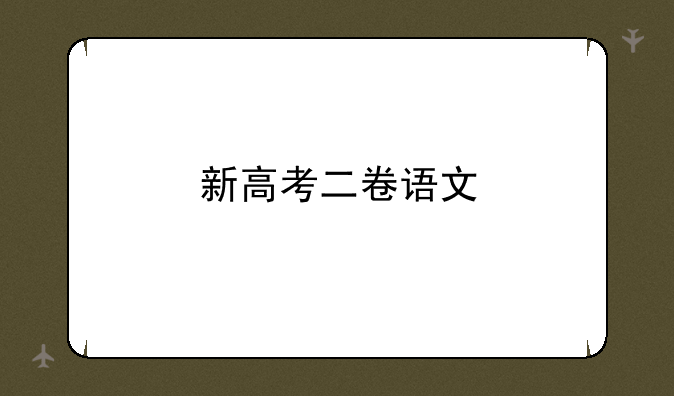 新高考二卷语文