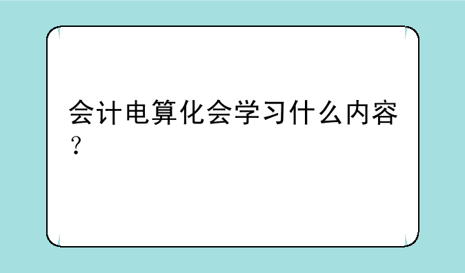 会计电算化会学习什么内容？
