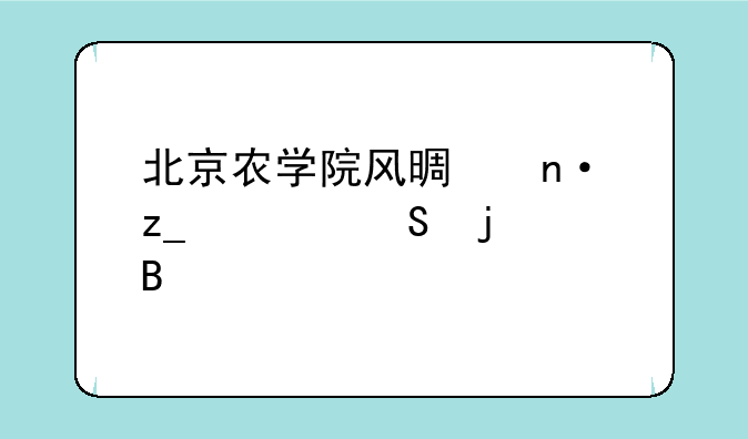 北京农学院风景园林考研难吗