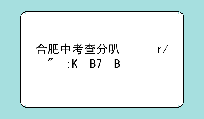 合肥中考查分可以看到排名吗