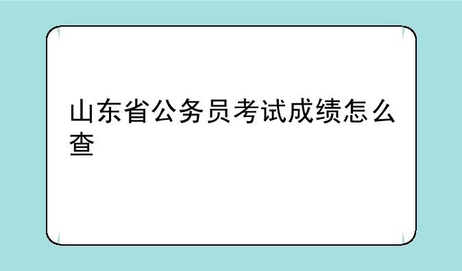 山东省公务员考试成绩怎么查