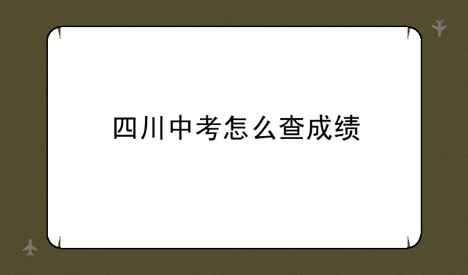 四川中考怎么查成绩
