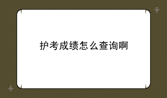 护考成绩怎么查询啊