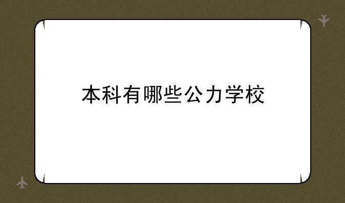 本科有哪些公力学校