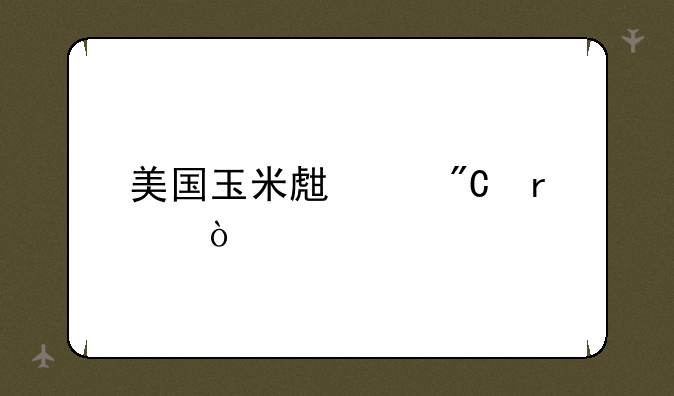 美国玉米生产成本？