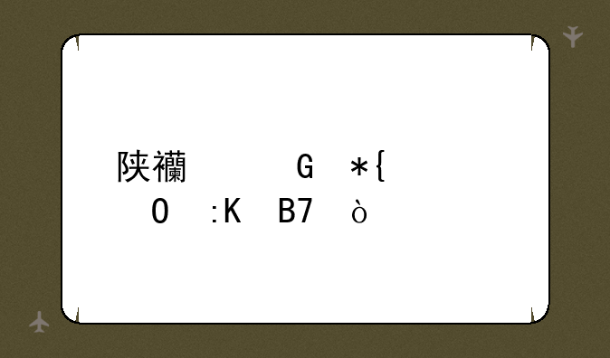 陕西民办大专排名？