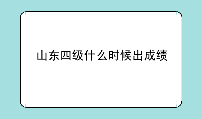山东四级什么时候出成绩