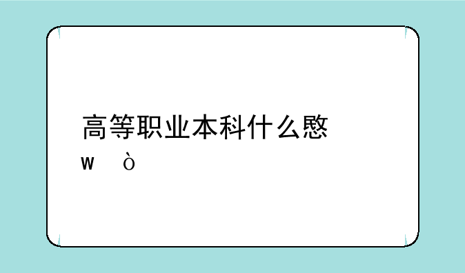 高等职业本科什么意思？