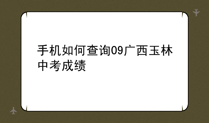 手机如何查询09广西玉林中考成绩