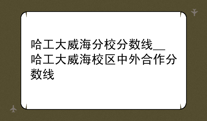 哈工大威海分校分数线__哈工大威海校区中外合作分数线